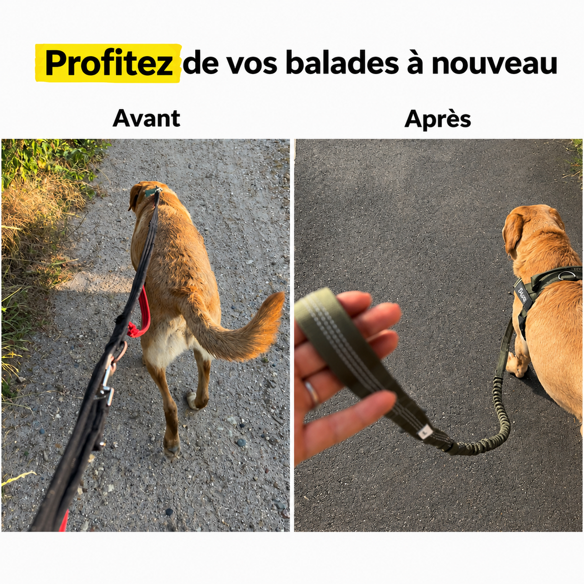 Harnais de contrôle anti-traction pour chien - Caniloop