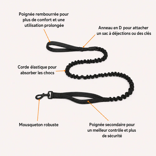 Laisse élastique pour chien Caniloop